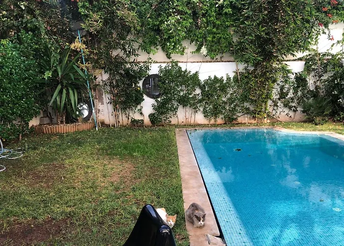 Villa Moderne Avec Piscine, Front De Mer