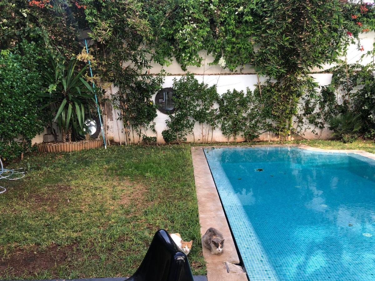 Villa Moderne Avec Piscine, Front De