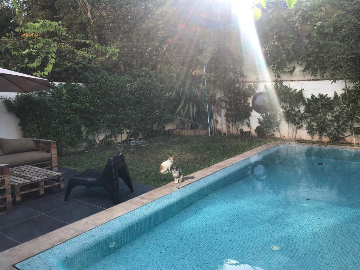 Moderne Avec Piscine, Front De Casablanca